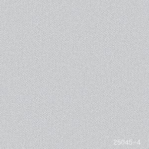 ǰ 