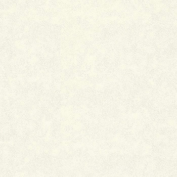 ǰ̹