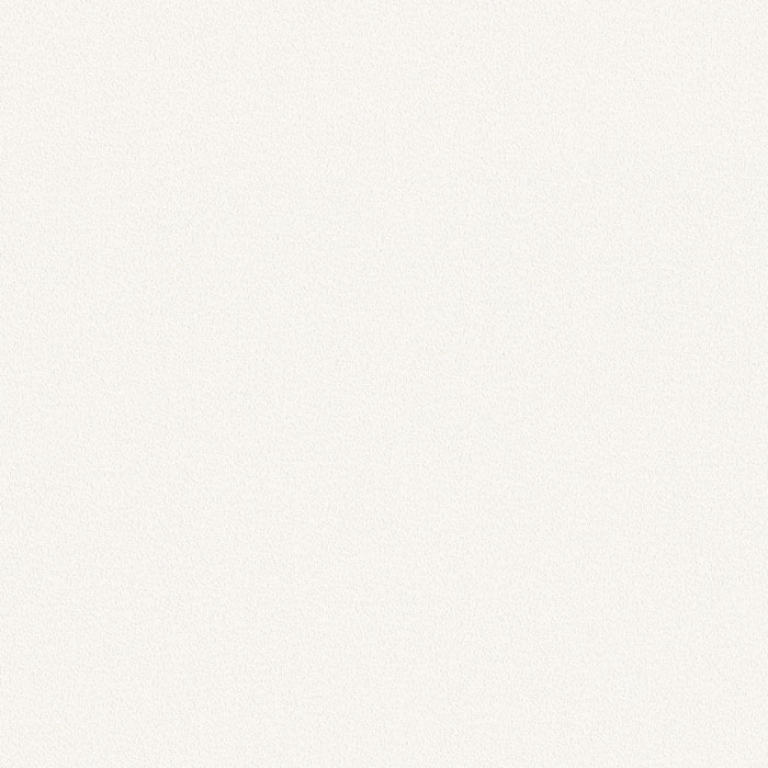 ǰ̹
