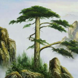 ��ǰ�̹���