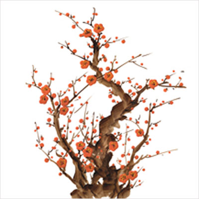 ��ǰ�̹���