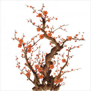 ��ǰ�̹���