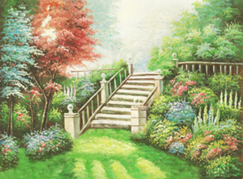 ��ǰ�̹���