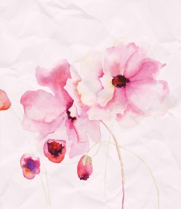 ��ǰ ������