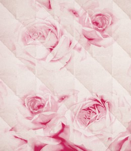 ��ǰ ������