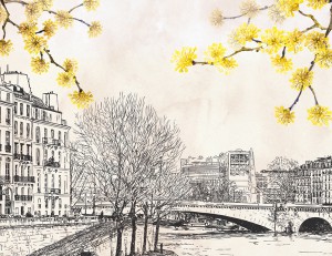 ��ǰ ������