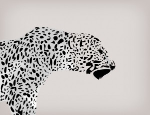 ��ǰ ������