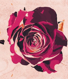 ��ǰ ������