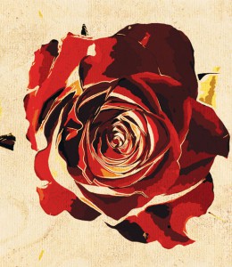 ��ǰ ������