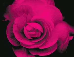 ��ǰ ������