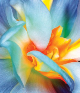 ��ǰ ������