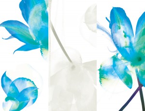 ��ǰ ������