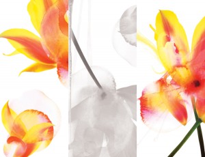 ��ǰ ������