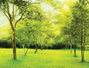 ��ǰ ������