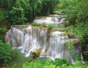 ��ǰ ������