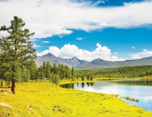 ��ǰ ������