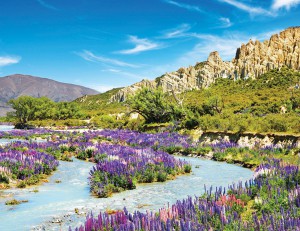 ��ǰ ������