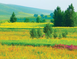 ��ǰ ������