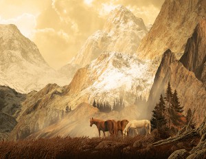 ��ǰ ������