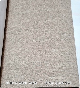 ��ǰ ������