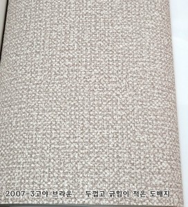 ��ǰ ������